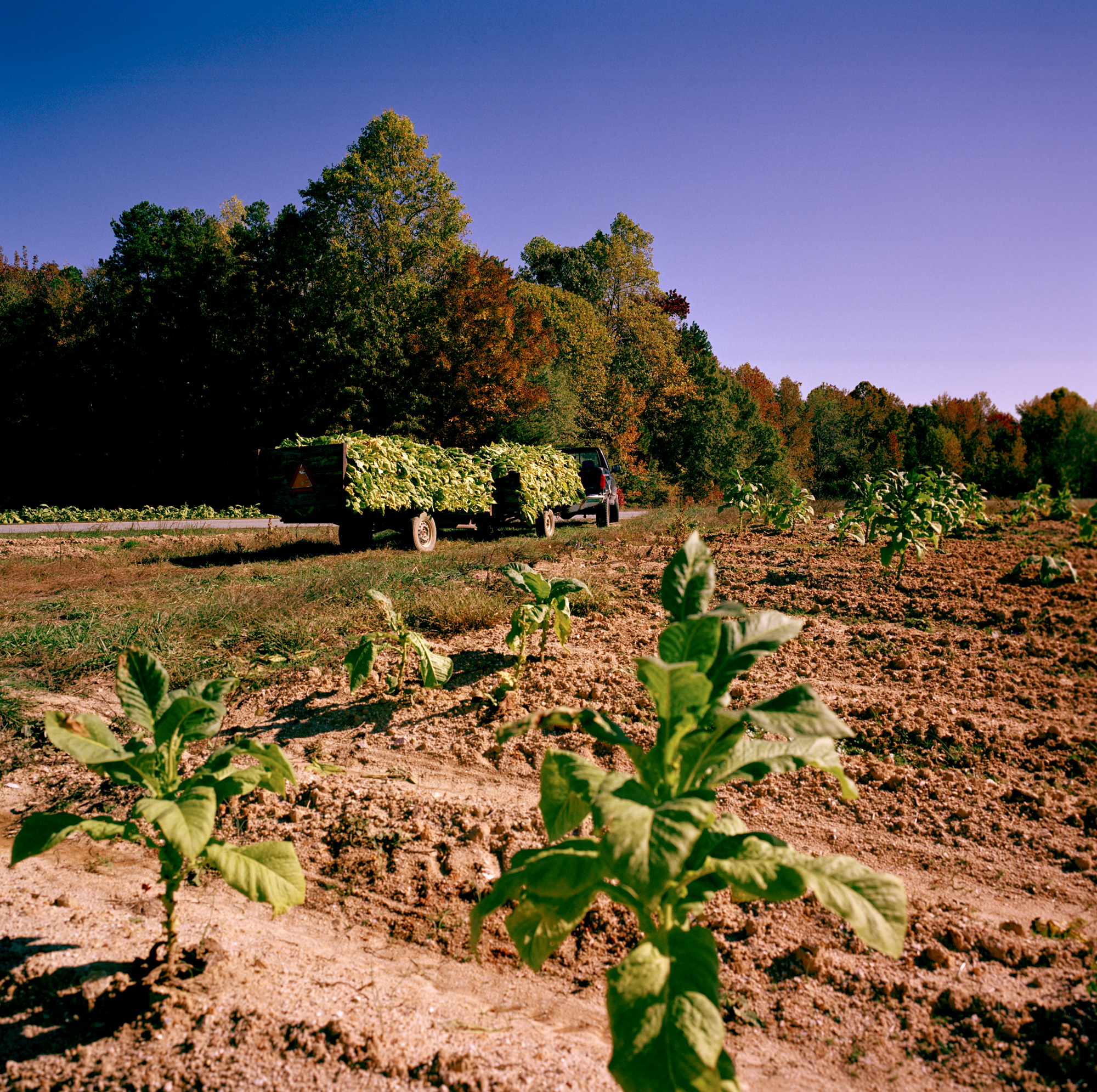 0014_AfricanAmericanFarmers_2012.JPG